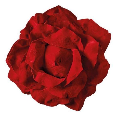 TESTA ROSA 757536 CM - ROSSO